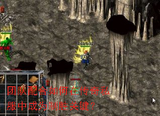 �Ŷ��������ڴ���˽���г�Ϊ��ʤ�ؼ���