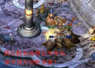 �Ŷ��������ڴ���˽���г�Ϊ��ʤ�ؼ���