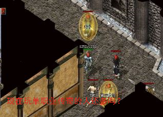 现在玩单职业传奇的人还多吗? 现在玩单职业传奇的人还多吗?