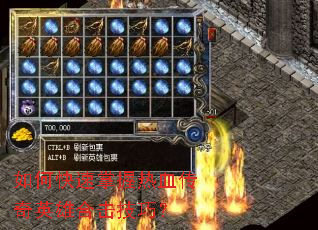 ��ο���������Ѫ����Ӣ�ۺϻ����ɣ�