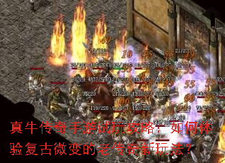 ��ţ�����������湥�ԣ�������鸴��΢����ϴ������淨��