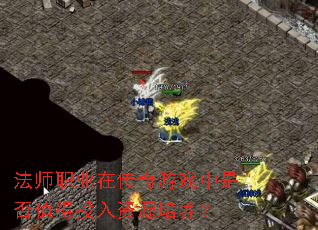 ��ʦְҵ�ڴ�����Ϸ���Ƿ�ֵ��Ͷ����Դ������