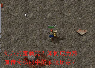 幻八打宝新宠?如何成为热血传奇私服中的顶级玩家? 幻八打宝新宠?如何成为热血传奇私服中的顶级玩家?