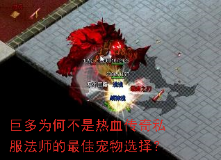 巨多为何不是热血传奇私服法师的最佳宠物选择? 巨多为何不是热血传奇私服法师的最佳宠物选择?