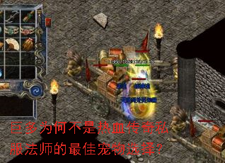 �޶�Ϊ�β�����Ѫ����˽����ʦ����ѳ���ѡ��