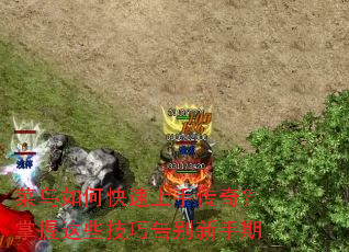 ������ο������ִ��棿������Щ���ɸ��������