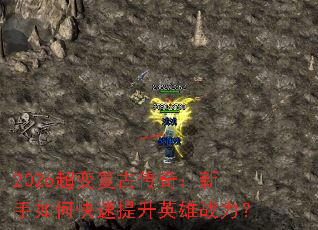 2026���临�Ŵ��棺������ο�������Ӣ��ս����