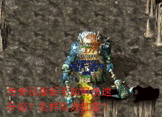 ����˽��������ο���������������Ч�򱦣�