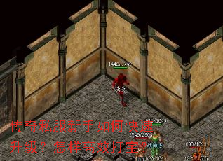 ����˽��������ο���������������Ч�򱦣�