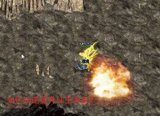 ��ο������������ȼ���