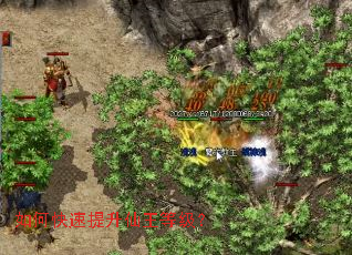 ��ο������������ȼ���