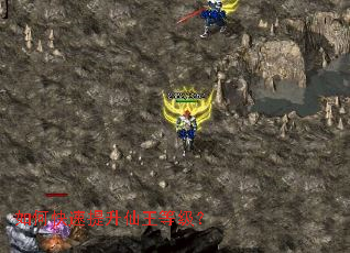 ��ο������������ȼ���