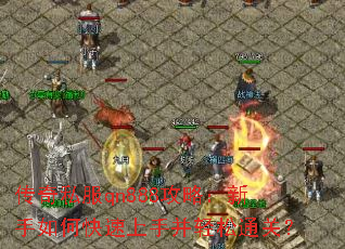 ����˽��qn888���ԣ�������ο������ֲ�����ͨ�أ�