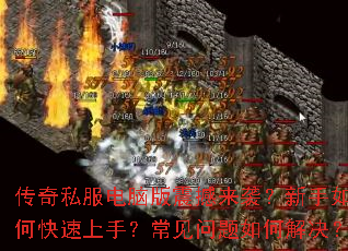 ����˽�����԰�����Ϯ��������ο������֣�����������ν����