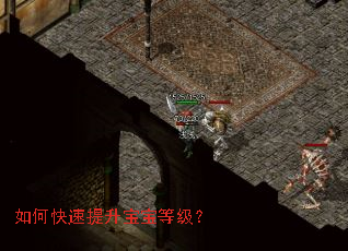 ��ο������������ȼ���