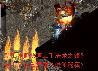 ������ο�����������֮·�������ָ�������Щ�����ؼ���