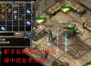 �������Ӧ�Դ���˽���еĸ�����