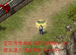 ��̬����ϻ��涥�����ԣ���δӲ�����ٽ���Ϊ����