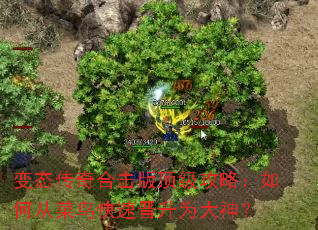 ��̬����ϻ��涥�����ԣ���δӲ�����ٽ���Ϊ����