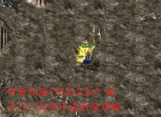 ����˽��178��ô�棿������������ֽ���ȫ����