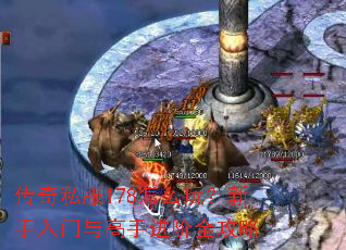 ����˽��178��ô�棿������������ֽ���ȫ����