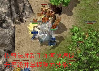 ���淨ʦ������ο��������ȼ�������ǿ�����ܣ�