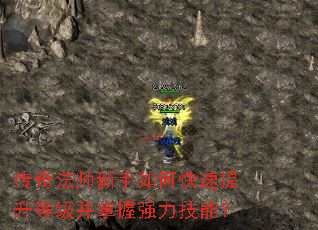 ���淨ʦ������ο��������ȼ�������ǿ�����ܣ�