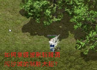 �����������ն���´�ɳ�ǵ���ʤ���У�