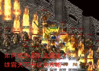 ��γ�Ϊ��ְҵ�������۰���������ȫ����