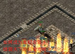 ��γ�Ϊ��ְҵ�������۰���������ȫ����