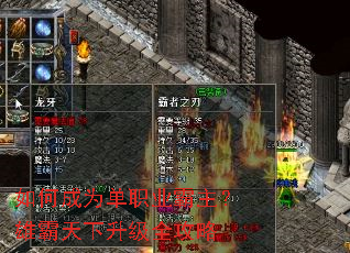 ��γ�Ϊ��ְҵ�������۰���������ȫ����