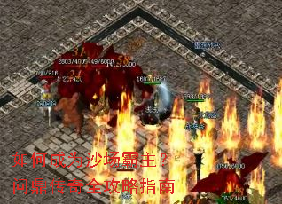 ��γ�Ϊɳ���������ʶ�����ȫ����ָ��