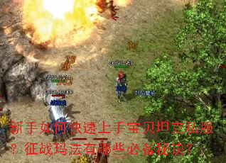 新手如何快速上手宝贝坦克私服?征战玛法有哪些必备秘诀? 新手如何快速上手宝贝坦克私服?征战玛法有哪些必备秘诀?