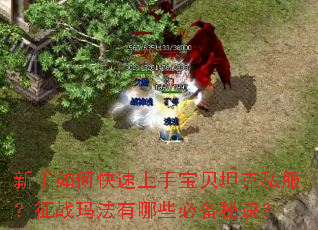 新手如何快速上手宝贝坦克私服?征战玛法有哪些必备秘诀? 新手如何快速上手宝贝坦克私服?征战玛法有哪些必备秘诀?