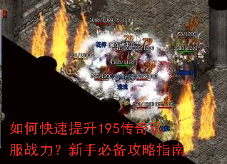 ��ο�������195����˽��ս�������ֱر�����ָ��