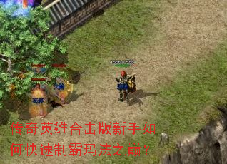 传奇英雄合击版新手如何快速制霸玛法之巅? 传奇英雄合击版新手如何快速制霸玛法之巅?