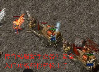 ����˽�����ֱر�����ȫ���Ź��Դ�����������