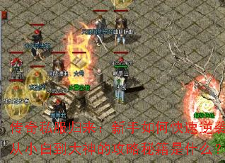 ����˽��������������ο�����Ϯ����С�׵�����Ĺ����ؼ���ʲô��