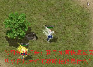 ����˽��������������ο�����Ϯ����С�׵�����Ĺ����ؼ���ʲô��