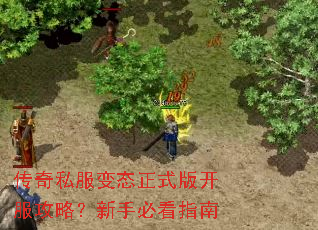 ����˽����̬��ʽ�濪�����ԣ����ֱؿ�ָ��