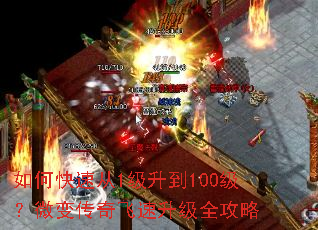 ��ο��ٴ�1������100����΢�䴫���������ȫ����