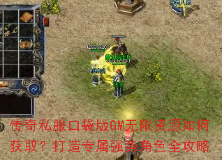 ����˽���ڴ���GM������Դ��λ�ȡ������ר��ǿ�ƽ�ɫȫ����