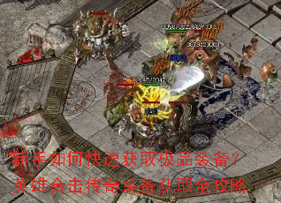 ������ο��ٻ�ȡ��Ʒװ����Ӣ�ۺϻ�����װ����ȡȫ����