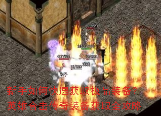 ������ο��ٻ�ȡ��Ʒװ����Ӣ�ۺϻ�����װ����ȡȫ����