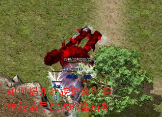 ��νҿ�׳����Ե�������ؾ�Ѱ�ٹ���ȫ����