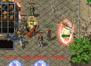 ��������������ȫ��λ�ưԣ�