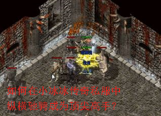 如何在小冰冰传奇私服中纵横驰骋成为顶尖高手? 如何在小冰冰传奇私服中纵横驰骋成为顶尖高手?