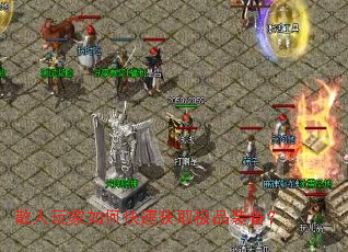 ɢ�������ο��ٻ�ȡ��Ʒװ����