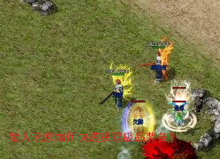 ɢ�������ο��ٻ�ȡ��Ʒװ����