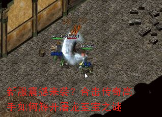 �·�����Ϯ���ϻ����������ν⿪��������֮��